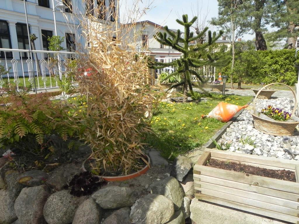 Strandnahe Ferienwohnungen 제바트헤링스도르프 외부 사진